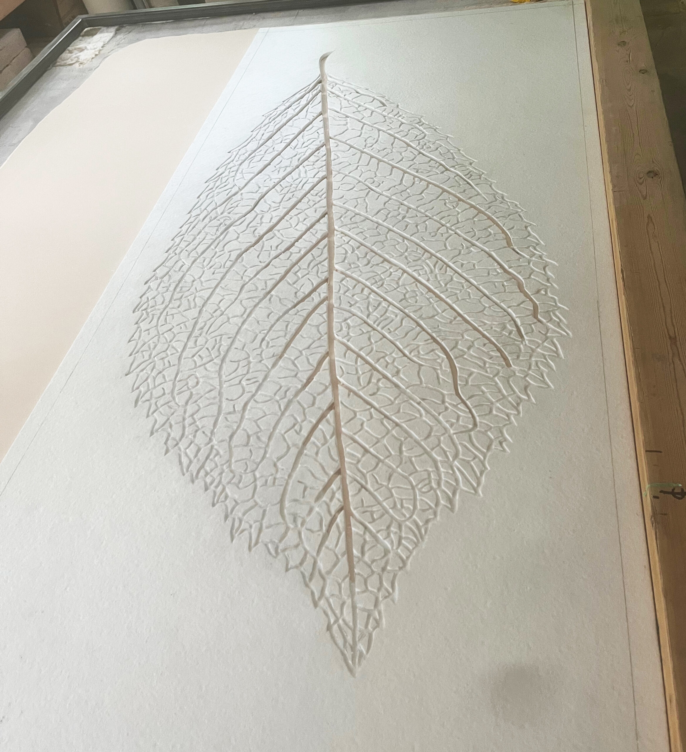 Leaf Mould Leaf Mould