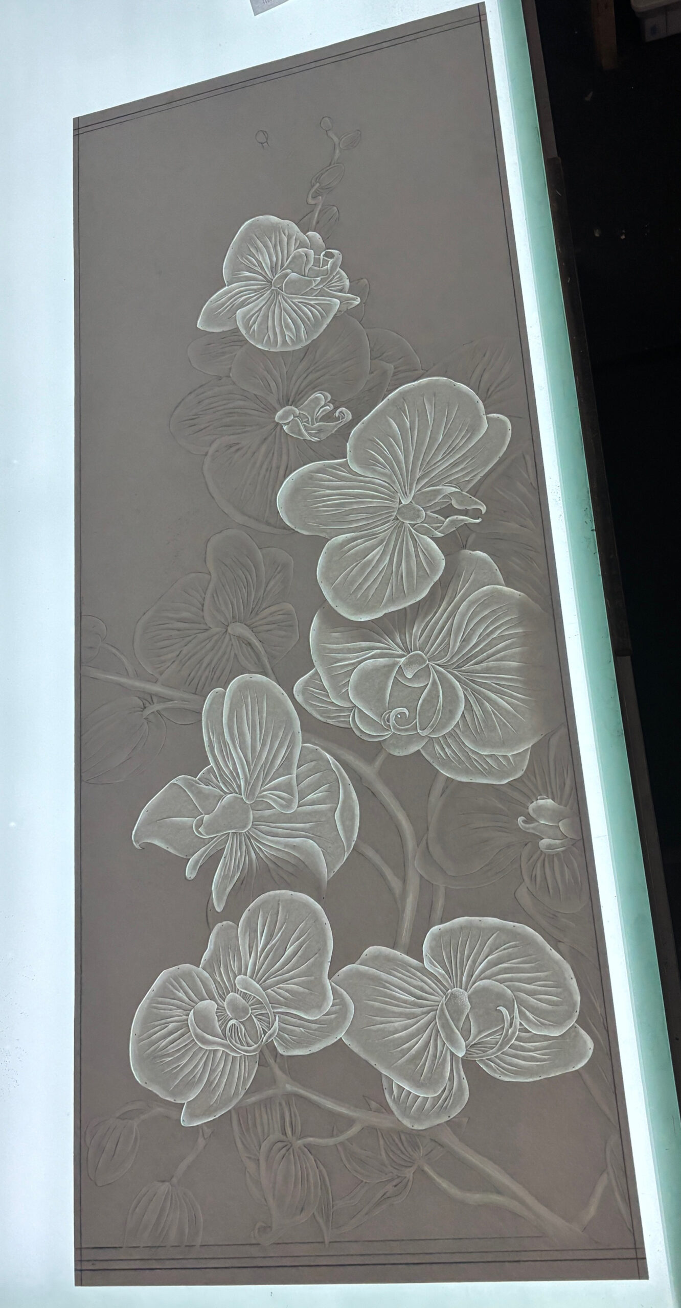 Orchids Mould Orchids Mould