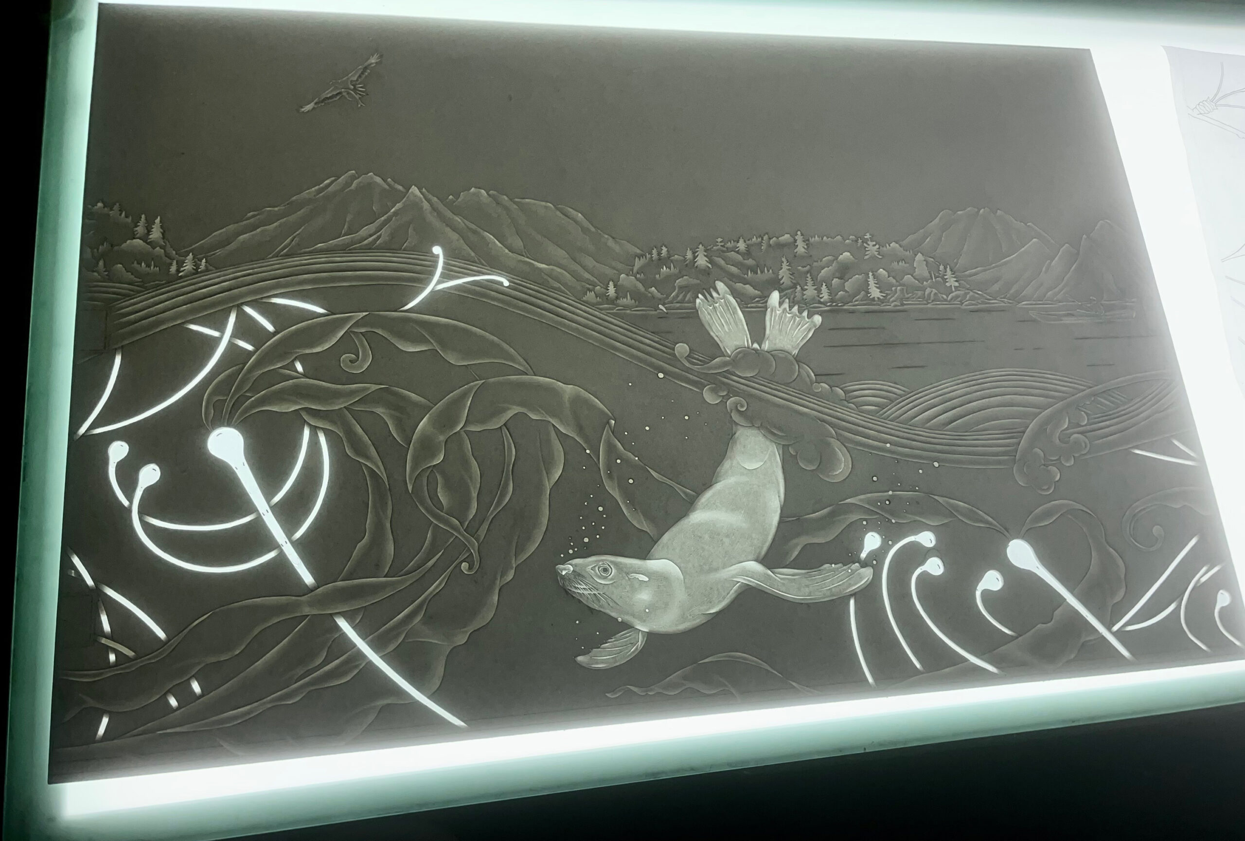 Schnedier Panels Mould 2 Schnedier Panels Mould 2