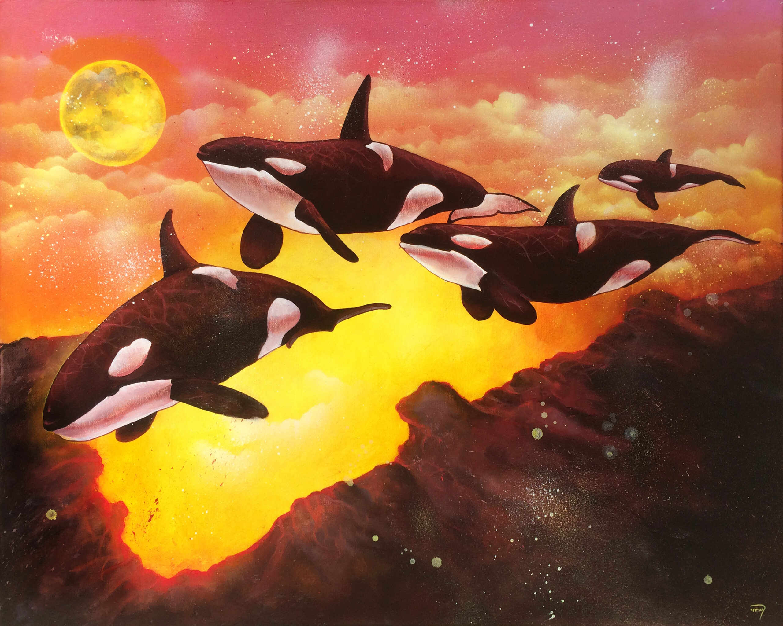 Transients Transients