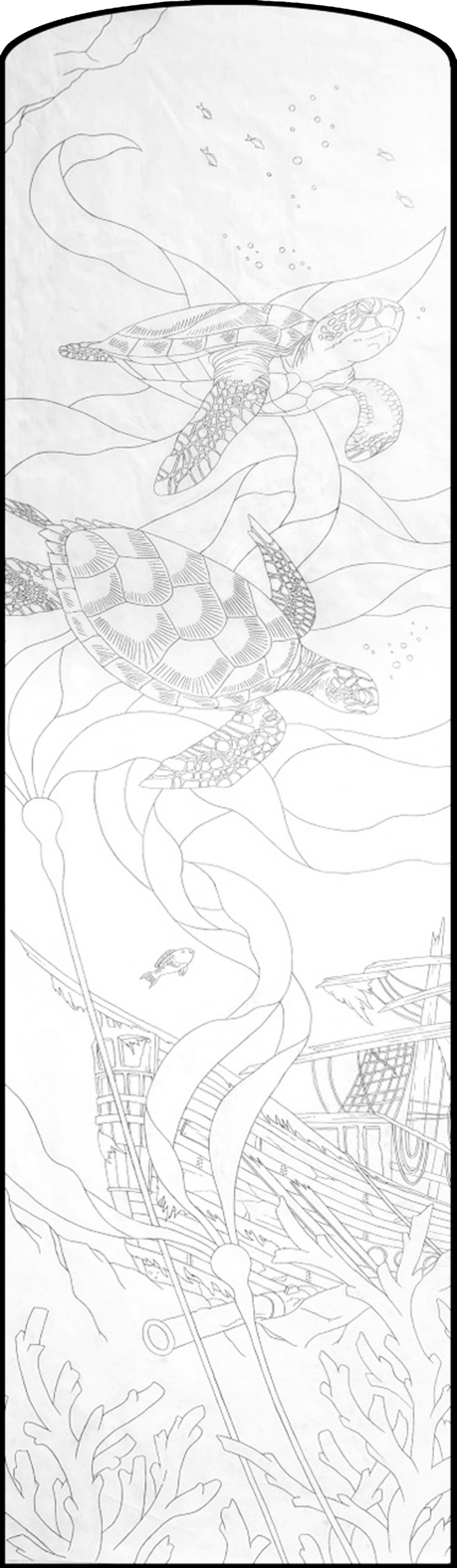 Turtles Master Copy Turtles Master Copy