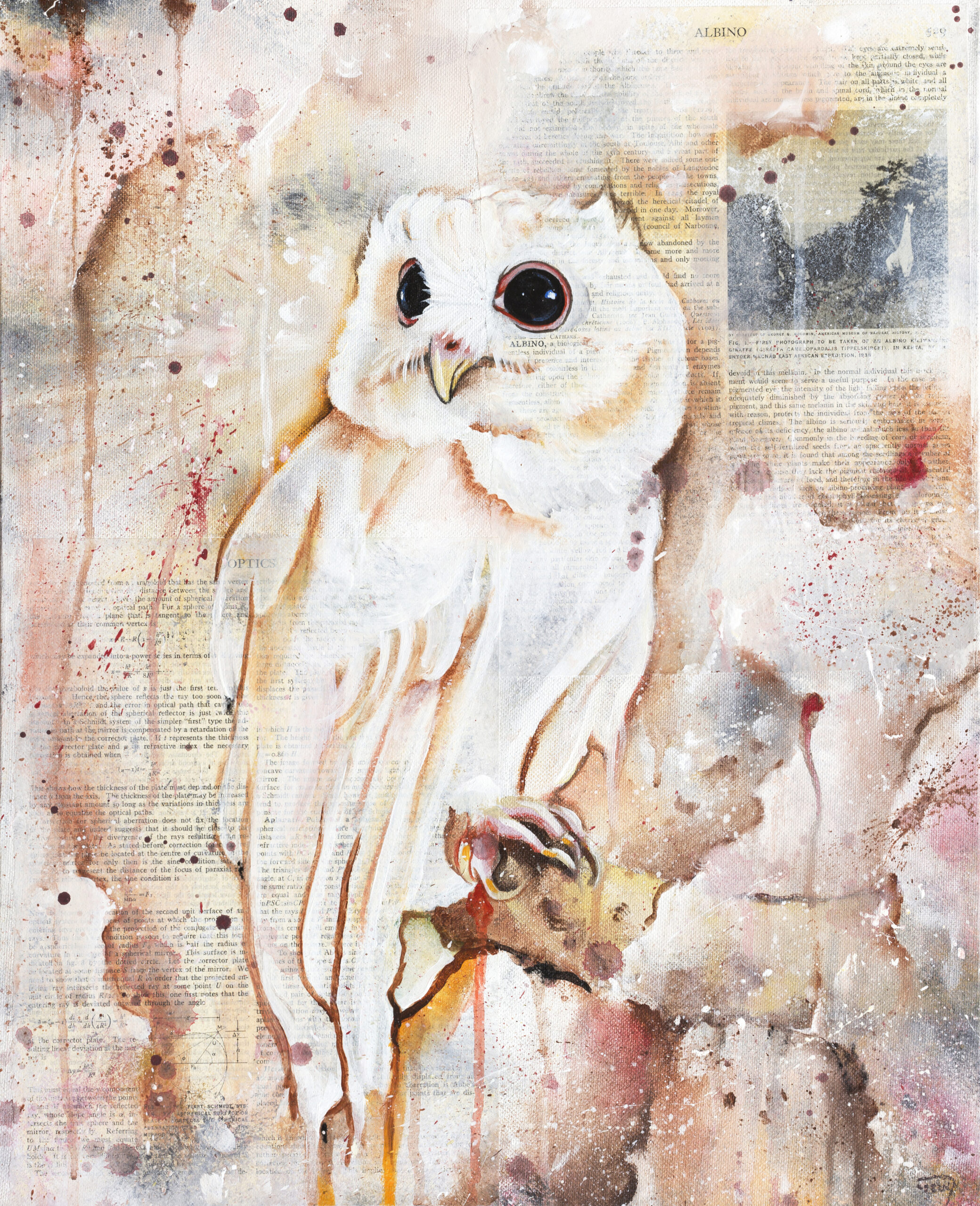 The Owls Are Not What They Seem VII The Owls Are Not What They Seem VII