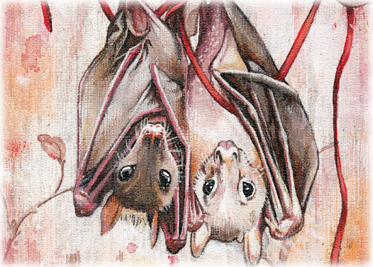 sliderbats sliderbats