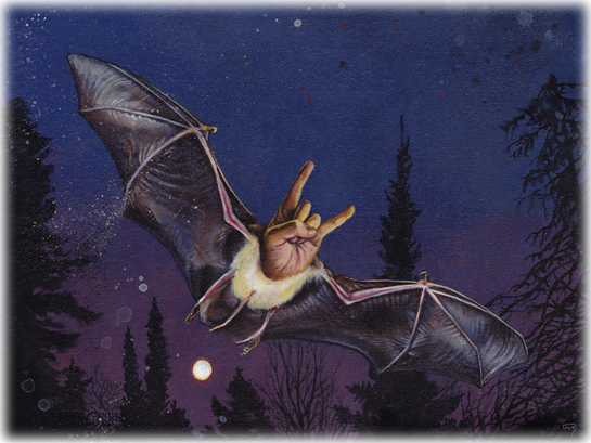 sliderbatsign sliderbatsign