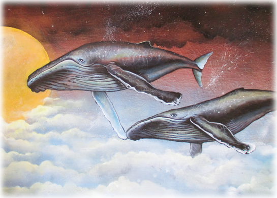 slidernightpassing slidernightpassing