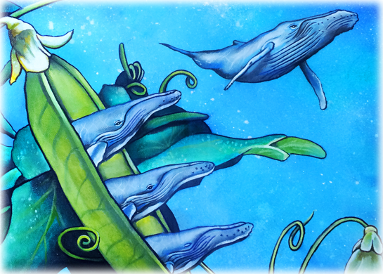 sliderpodofwhales sliderpodofwhales