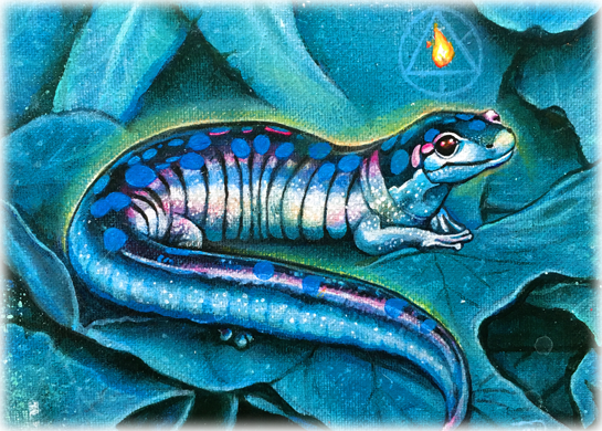 slidersacredsalamander slidersacredsalamander