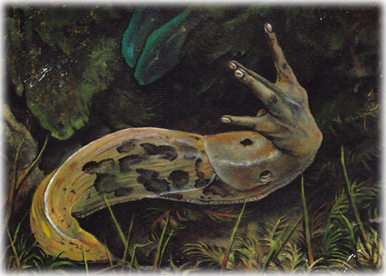 sliderslug sliderslug