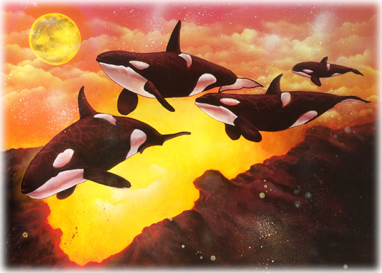 slidertransients slidertransients