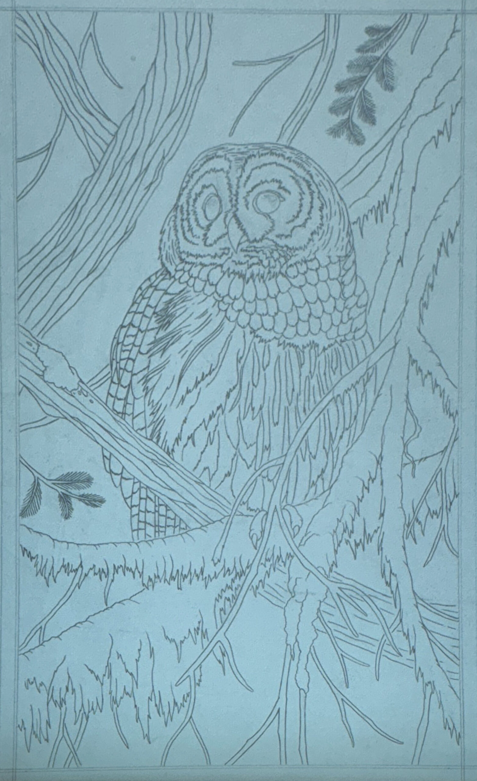 Collins Master Drawing