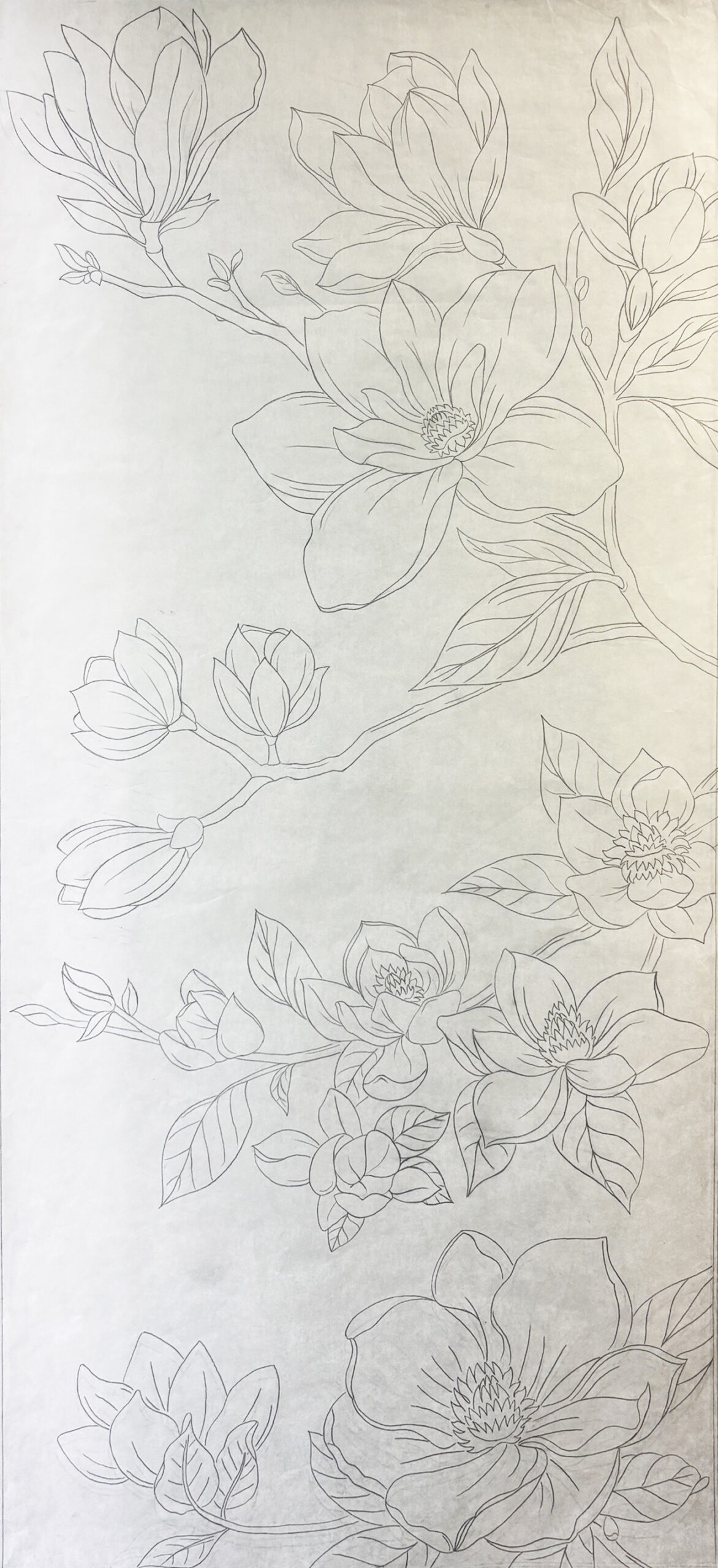 Wuitchik Master Drawing 1